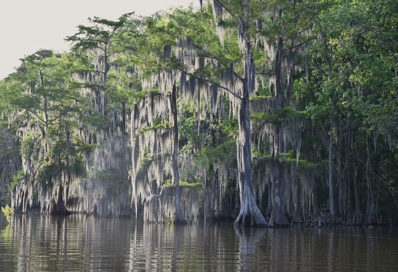 Peaceful Morgan City Home W/ Docks & Canal Access