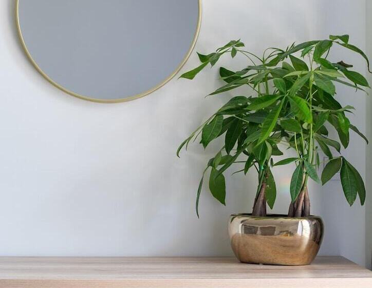 פנסיון Aetherion Studios & Suites