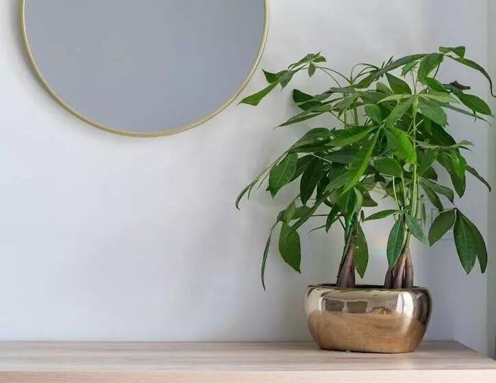 Majatalo Aetherion Studios & Suites