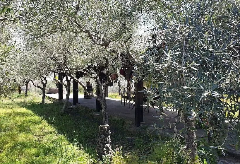 ペンション Room In Apartment   Beb Apartment Pompeii Rendine