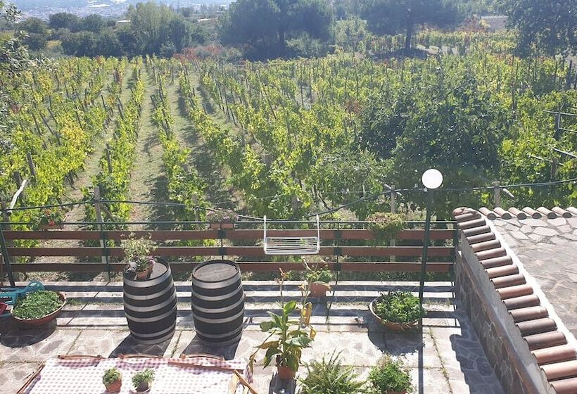 پانسیون Room In Apartment   Beb Apartment Pompeii Rendine