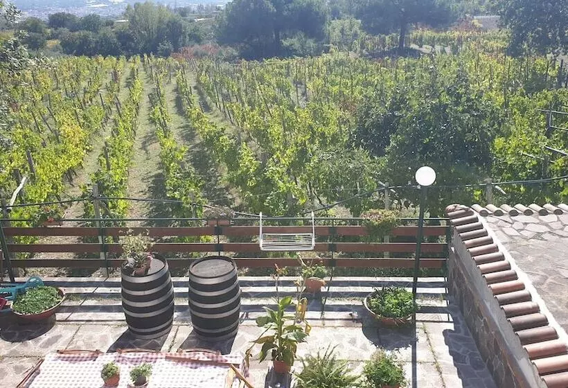 ペンション Room In Apartment   Beb Apartment Pompeii Rendine