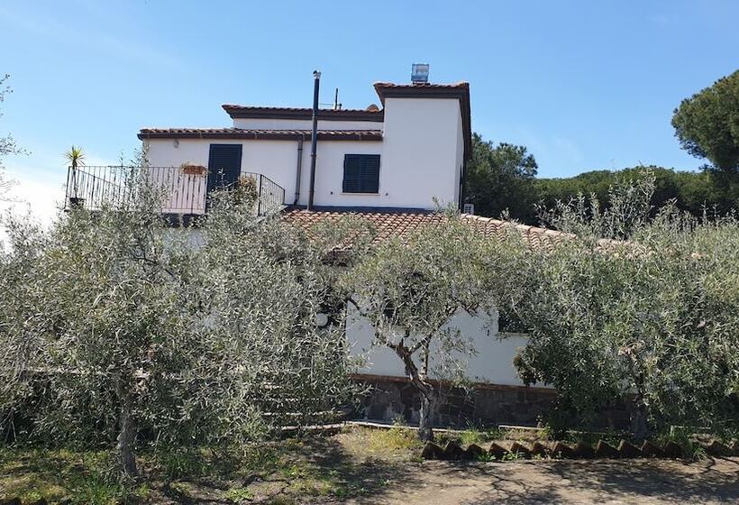 پانسیون Room In Apartment   Beb Apartment Pompeii Rendine