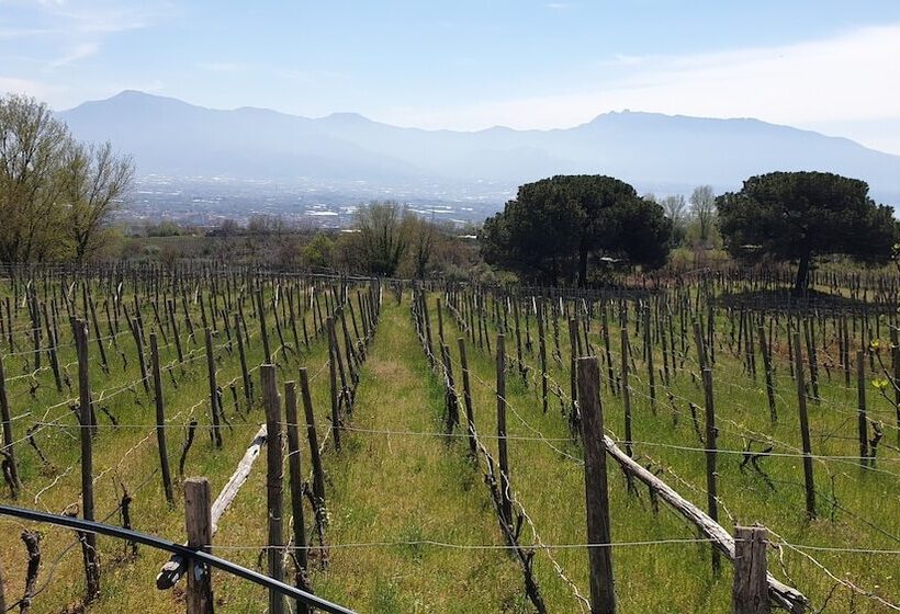 پانسیون Room In Apartment   Beb Apartment Pompeii Rendine