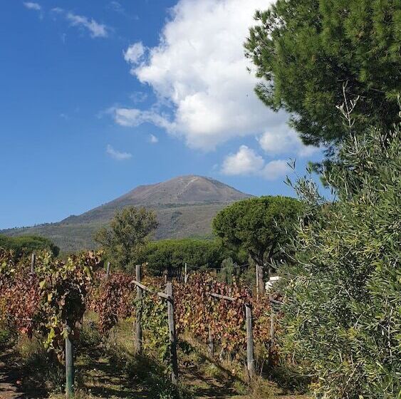 پانسیون Room In Apartment   Beb Apartment Pompeii Rendine