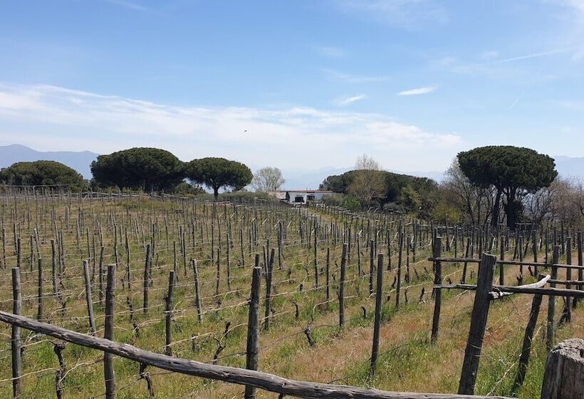 پانسیون Room In Apartment   Beb Apartment Pompeii Rendine