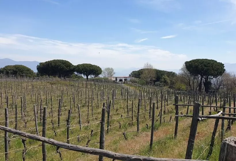 ペンション Room In Apartment   Beb Apartment Pompeii Rendine