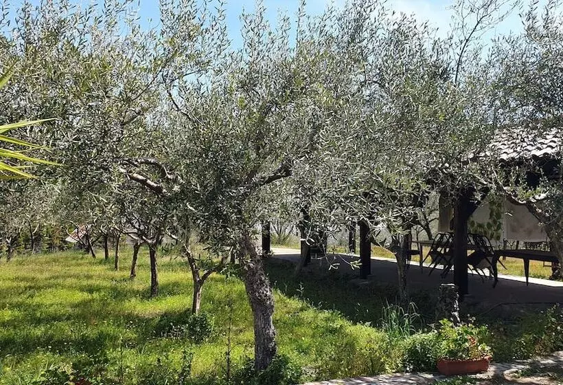 ペンション Room In Apartment   Beb Apartment Pompeii Rendine