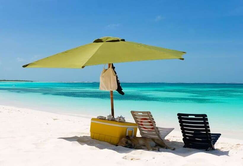 مسافرخانه Posada Acuario