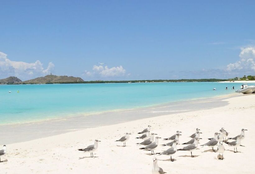 مسافرخانه Posada Acuario