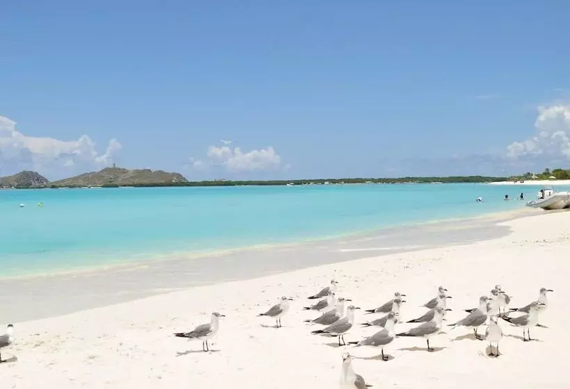 مسافرخانه Posada Acuario