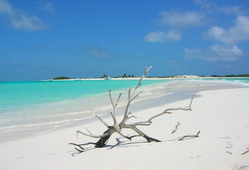 مسافرخانه Posada Acuario