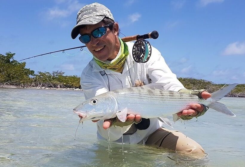 مسافرخانه Posada Acuario