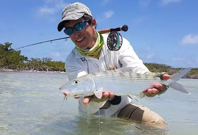 مسافرخانه Posada Acuario