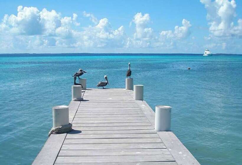 مسافرخانه Posada Acuario