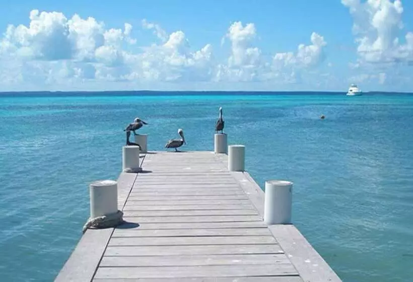 مسافرخانه Posada Acuario