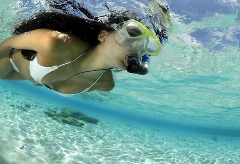 مسافرخانه Posada Acuario