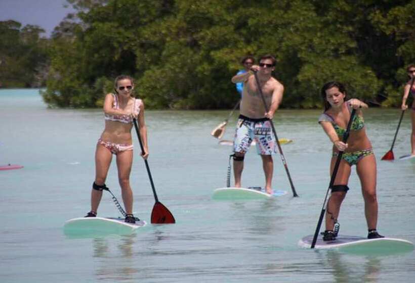 مسافرخانه Posada Acuario