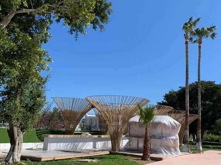 Отель Black Amber Boutique