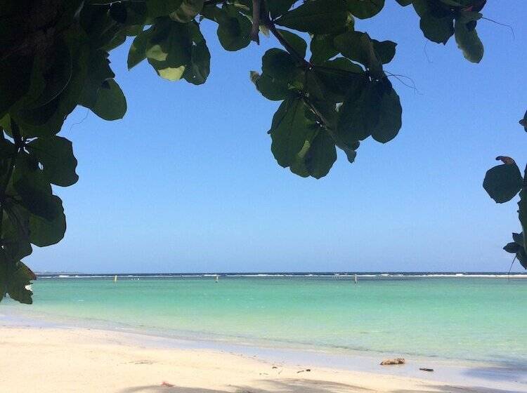 تختخواب و صبحانه Eco Hotel Club Rolling Stone