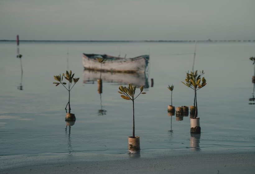 تختخواب و صبحانه Eco Hotel Club Rolling Stone