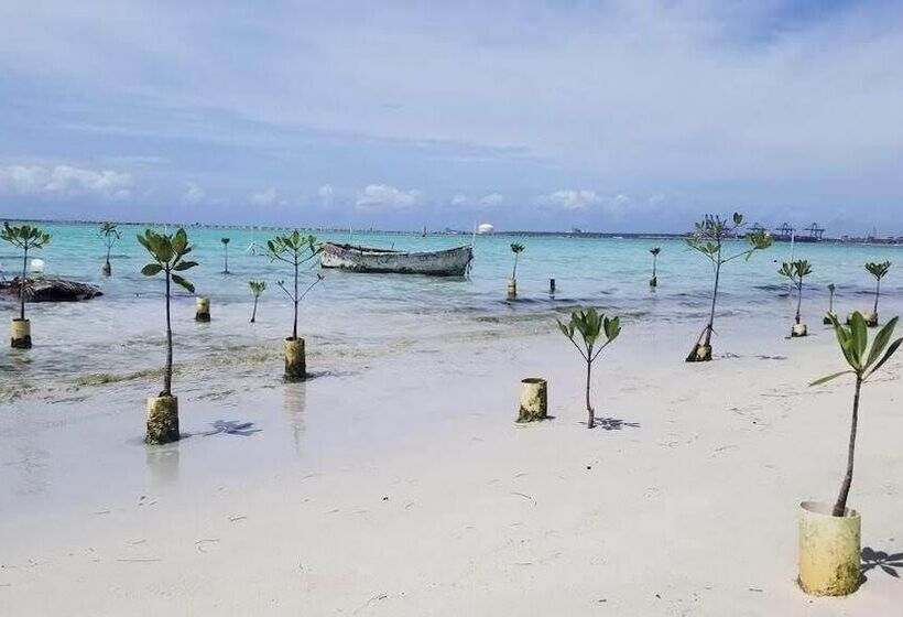 تختخواب و صبحانه Eco Hotel Club Rolling Stone