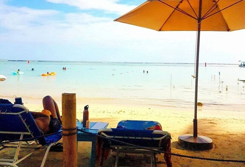 تختخواب و صبحانه Eco Hotel Club Rolling Stone