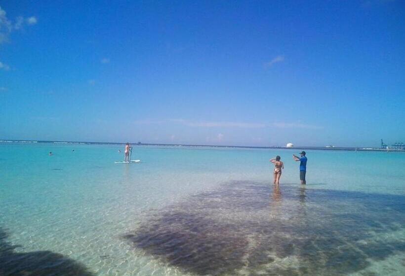 تختخواب و صبحانه Eco Hotel Club Rolling Stone