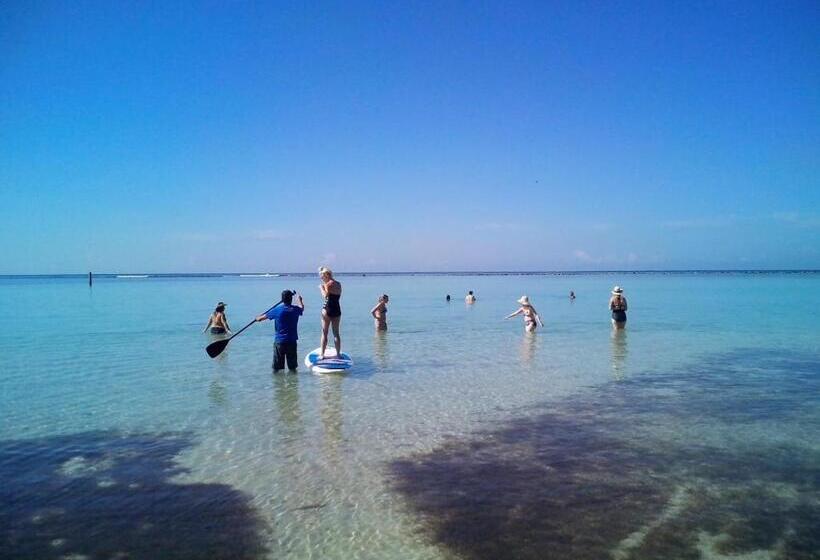 تختخواب و صبحانه Eco Hotel Club Rolling Stone