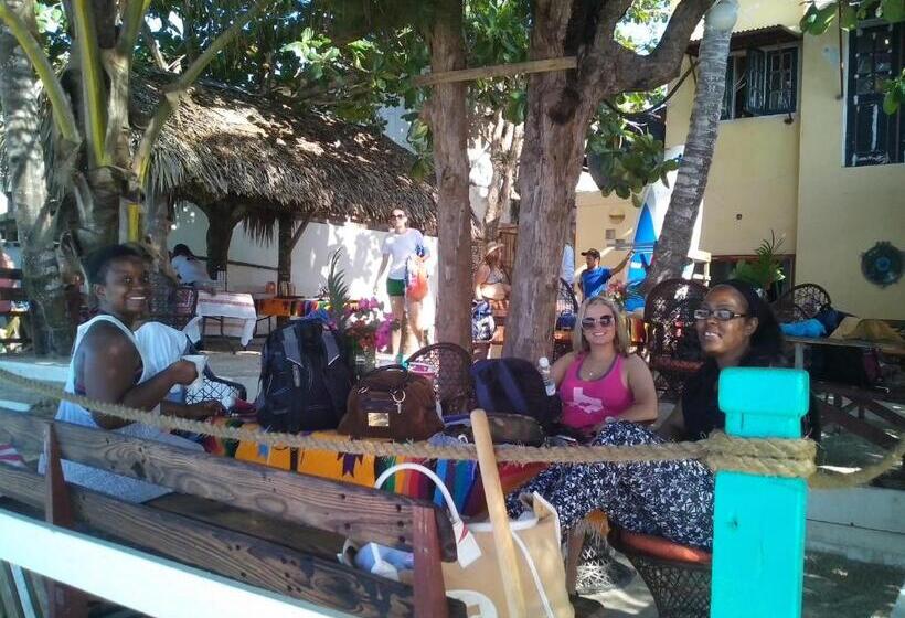 تختخواب و صبحانه Eco Hotel Club Rolling Stone