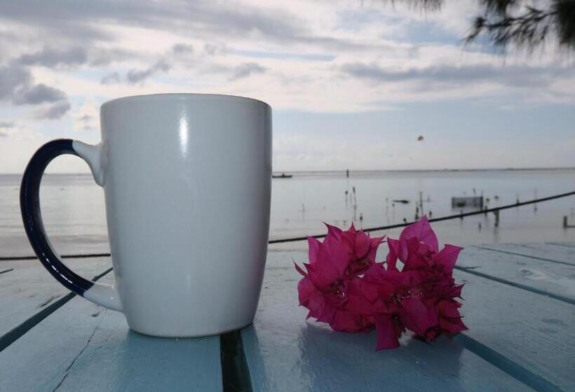 تختخواب و صبحانه Eco Hotel Club Rolling Stone