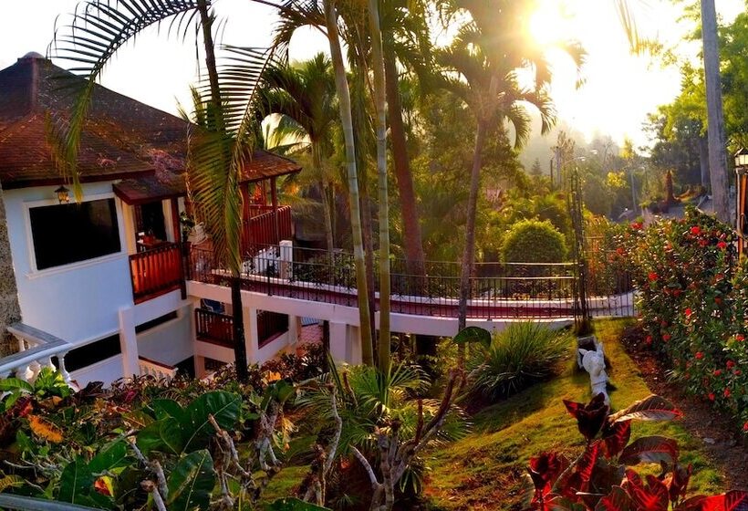 تختخواب و صبحانه Villa Celeste Estate