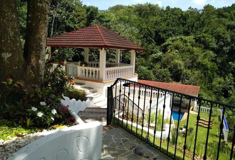 تختخواب و صبحانه Villa Celeste Estate