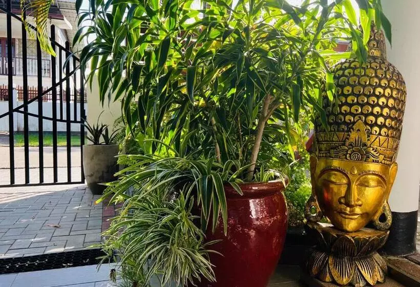 تختخواب و صبحانه Villa Famiri Boutique