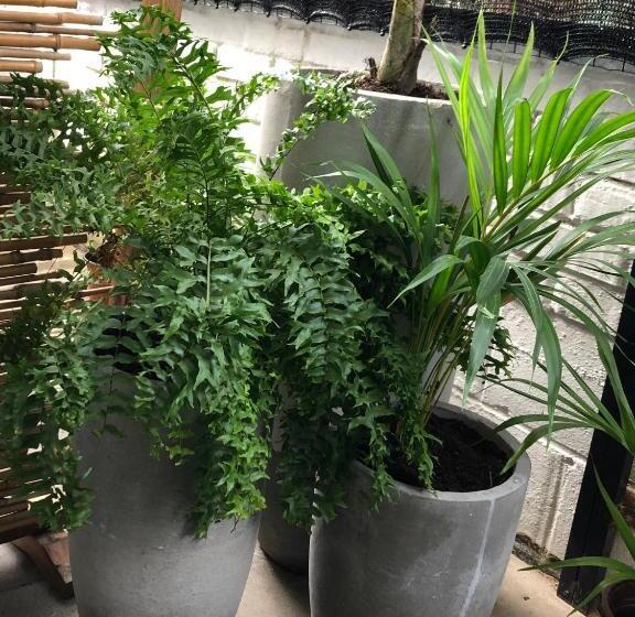 تختخواب و صبحانه Villa Famiri Boutique