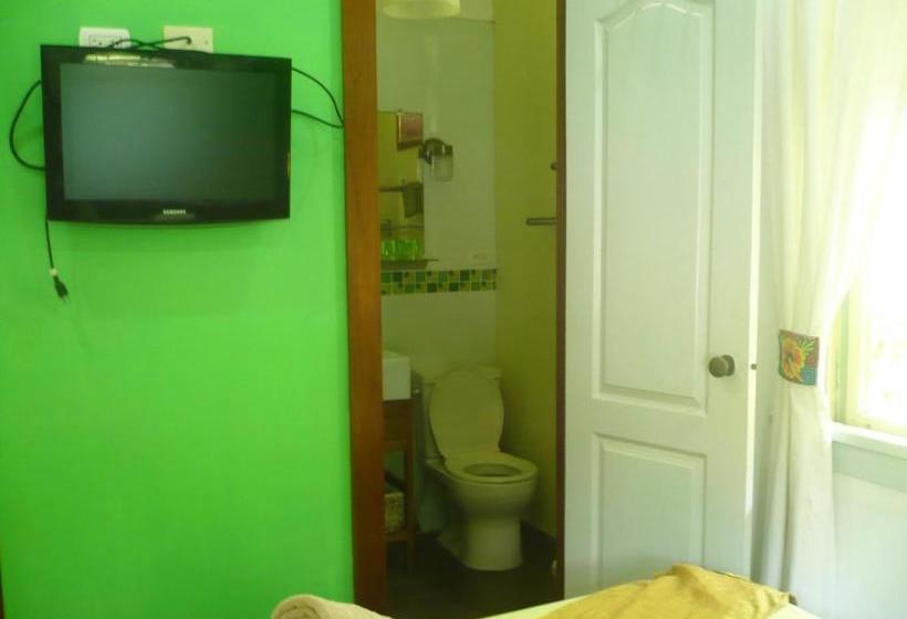 Dos Palmitos Bed And Breakfast