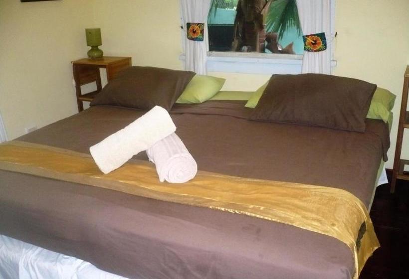 Dos Palmitos Bed And Breakfast