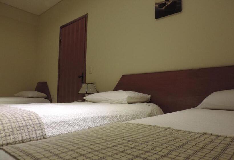 هتل Domingo Savio