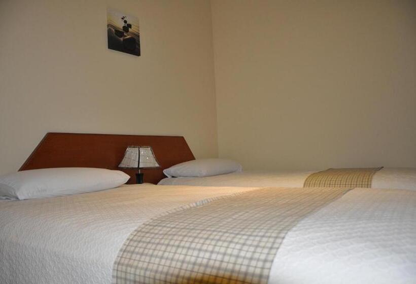 هتل Domingo Savio