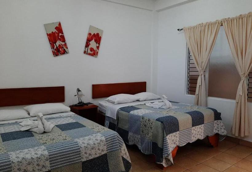 هتل Explore Lodge