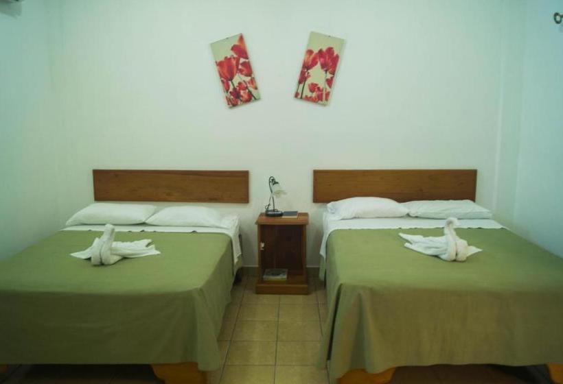 هتل Explore Lodge