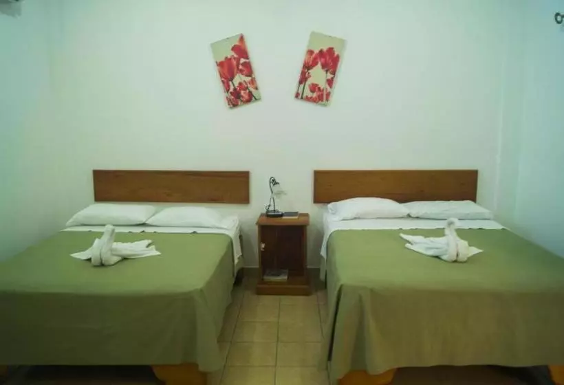 هتل Explore Lodge