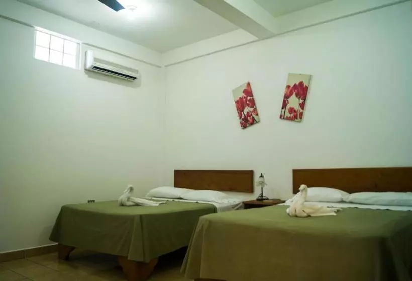 هتل Explore Lodge