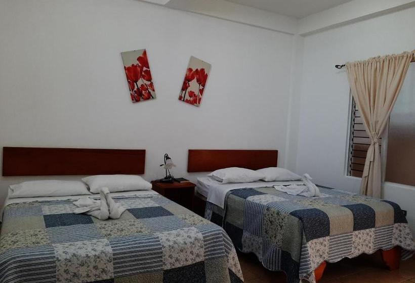 هتل Explore Lodge