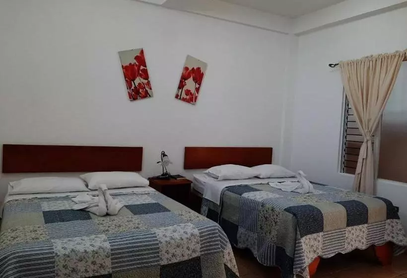 هتل Explore Lodge