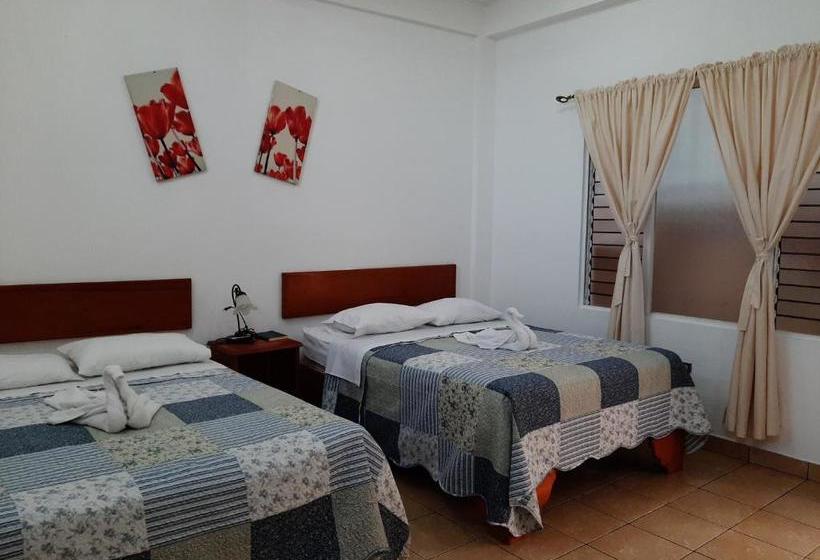 هتل Explore Lodge