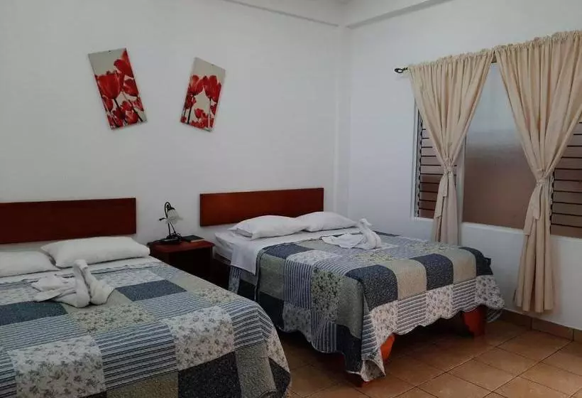 هتل Explore Lodge