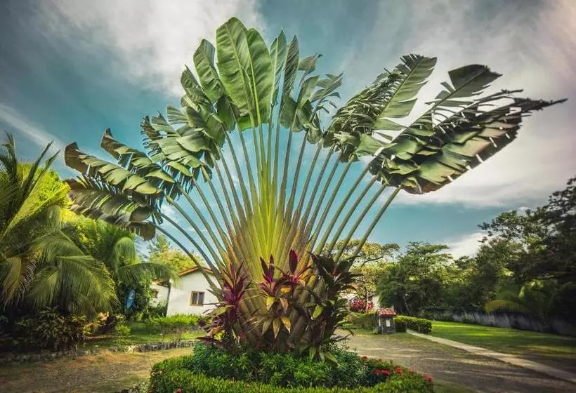 ホテル Santa Catalina Panamá