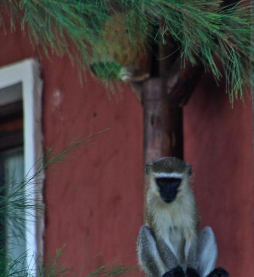 Palumboreef Beach Resort