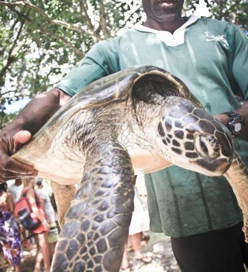 Palumboreef Beach Resort